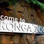 Зоопарк Таронга в Сиднее