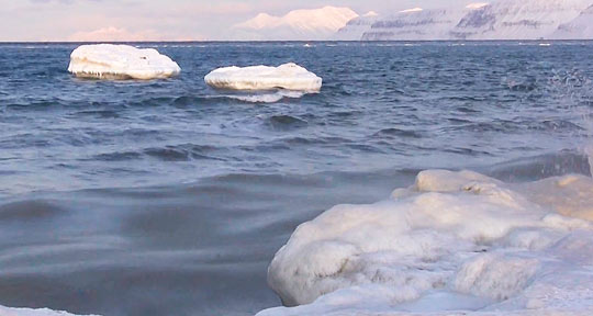 В водах архипелага Шпицберген плавают айсберги