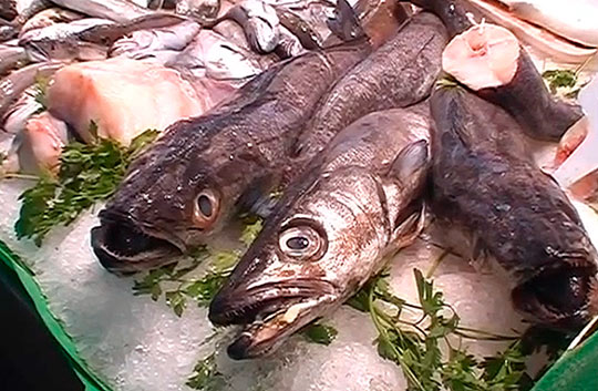 Сердце рынка Бокерия - рыбные ряды